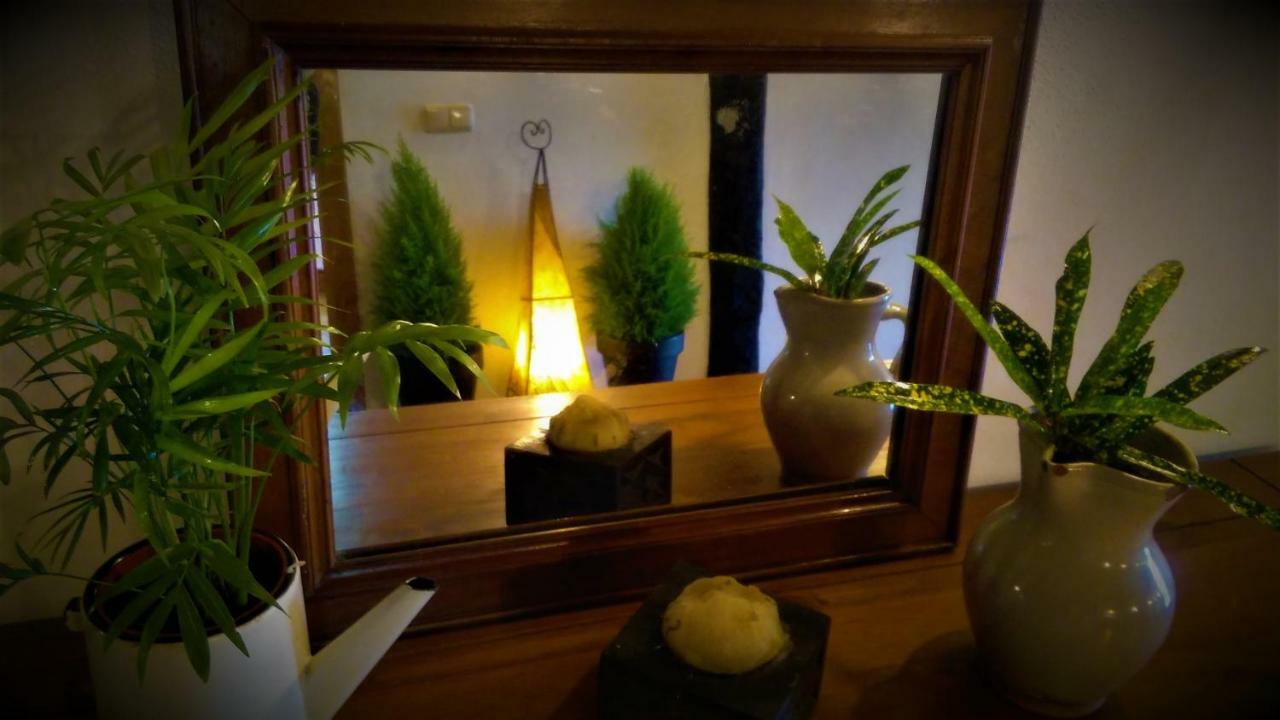 Albergue Mandoia Aterpetxea Аранцасу Екстер'єр фото
