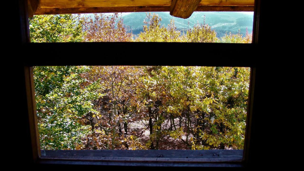Albergue Mandoia Aterpetxea Аранцасу Екстер'єр фото